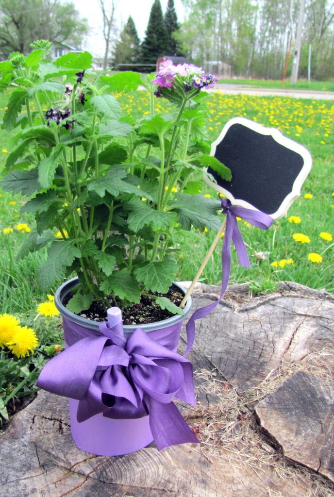 Using Mini Chalkboard Signs in Flower Pots