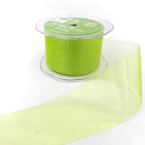 2 Inch Soft Shimmer Organza Ribbon - C-2-46 PARROT GREEN