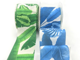 torpical leaf banana leaf Hawaiian palm ribbons