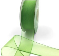 1.5 Inch Soft Sheer Ribbon with Thin Solid Edge - SNE-15-46 Parrot Green