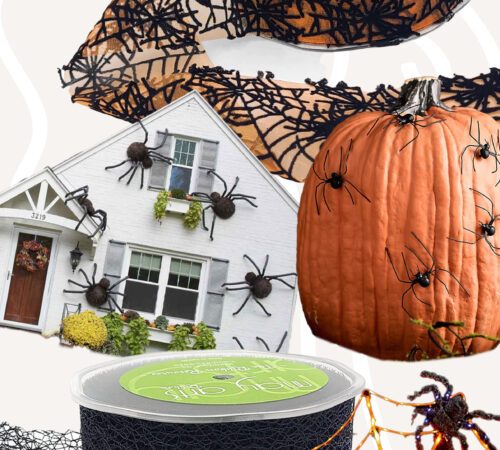 May Arts Ribbon Spiderween Decorating Ideas with spider themed ribbon